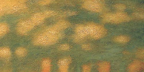 Zoom OUT
